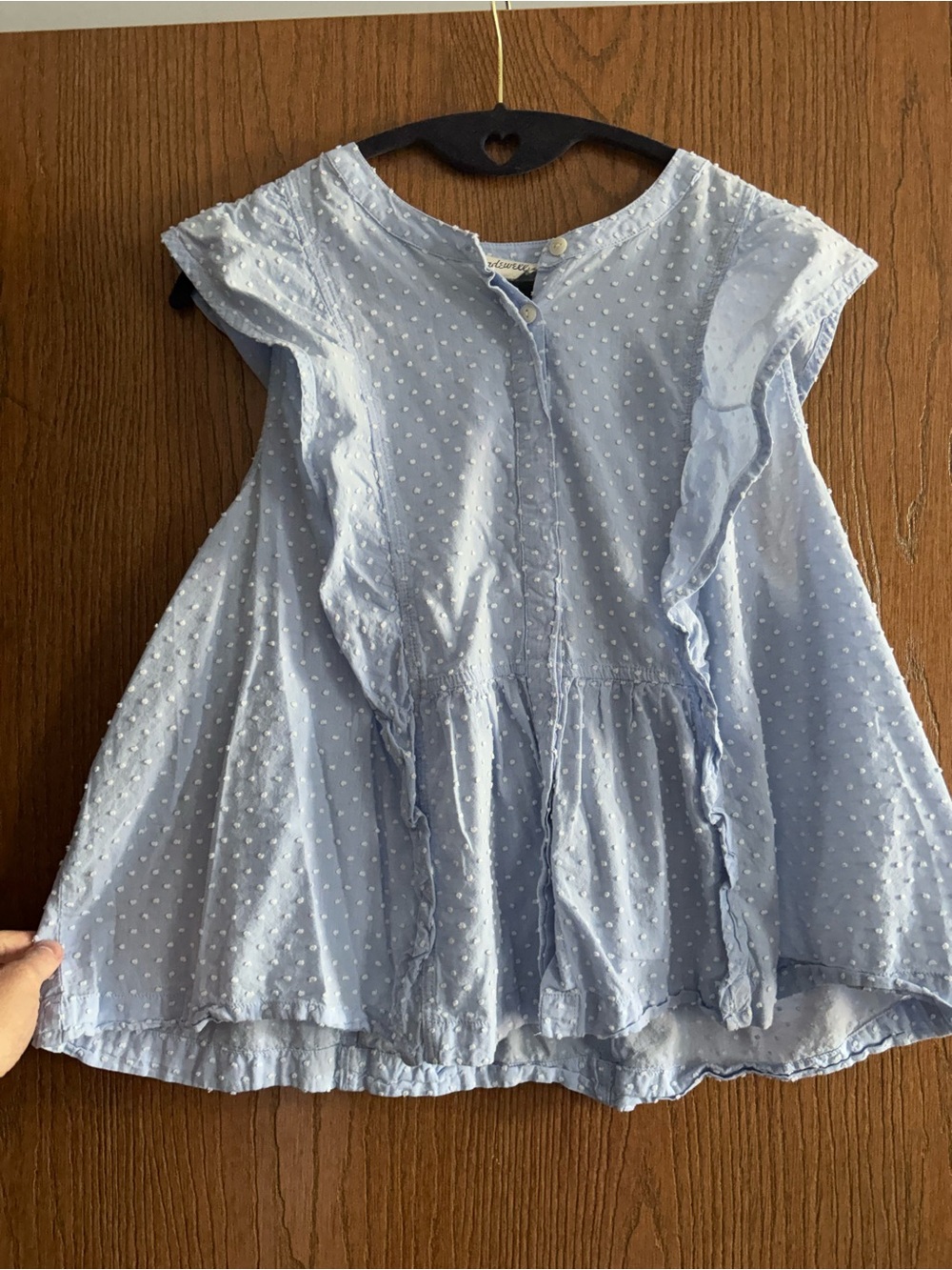 Madewell Light Blue Swiss Dot Ruffle Blouse